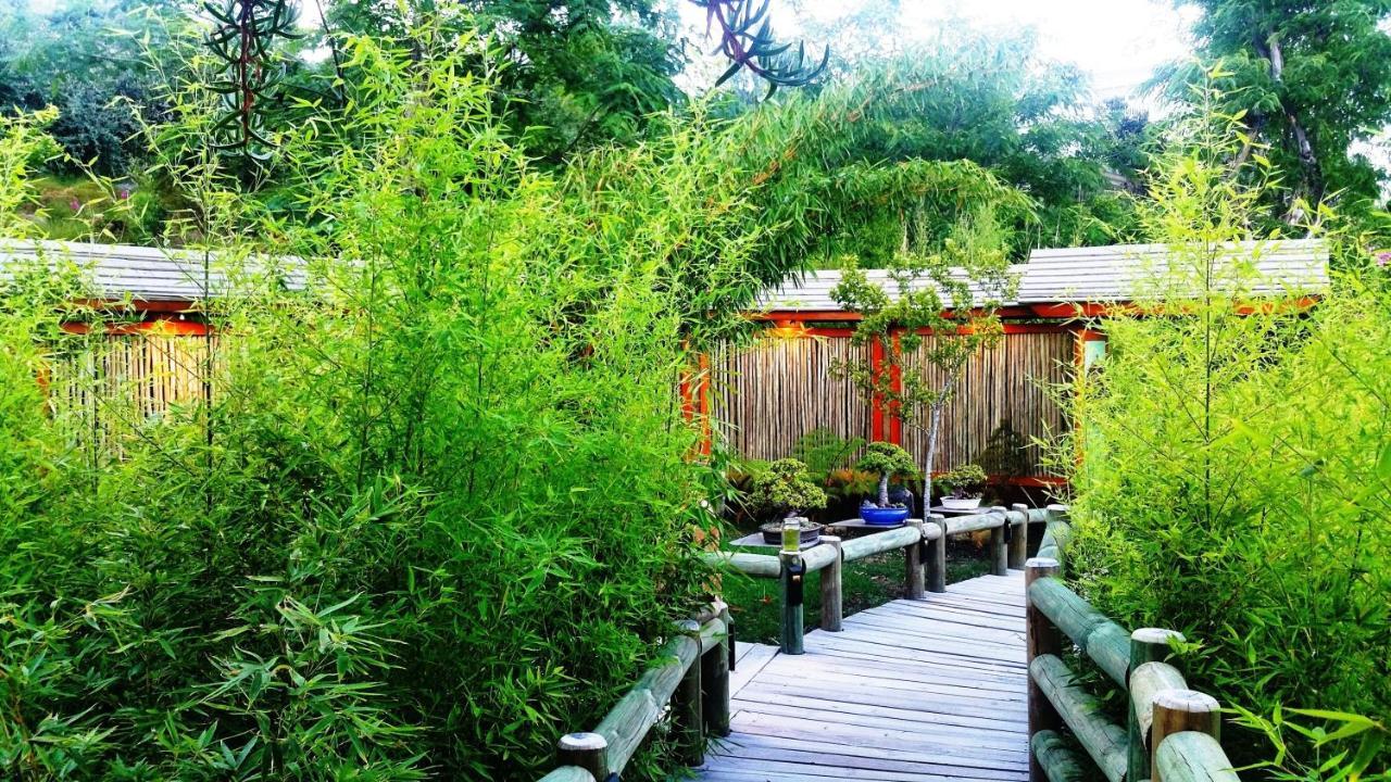 Paradise Private Zen Studios Knysna Buitenkant foto
