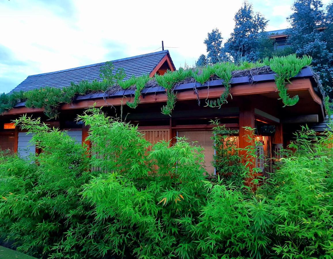 Paradise Private Zen Studios Knysna Buitenkant foto