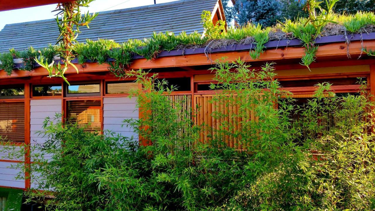 Paradise Private Zen Studios Knysna Buitenkant foto